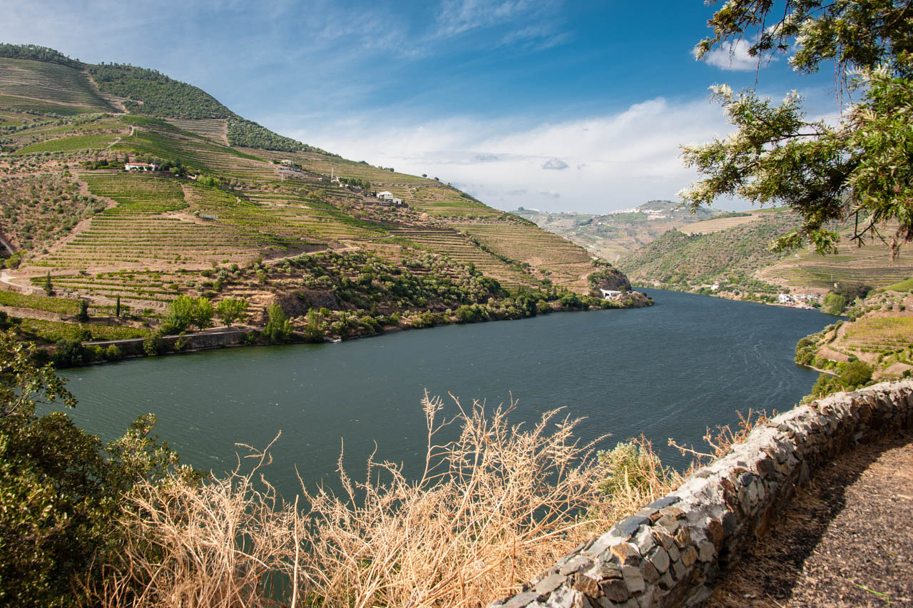 Terraced vineyards above the Douro River near Pinhão